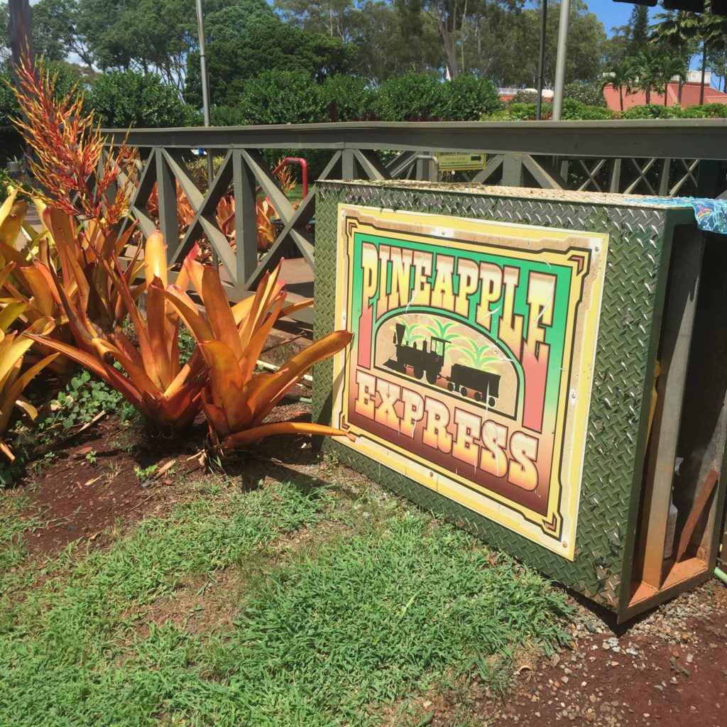 No trip to Oahu would be complete without a trip to the Dole Plantation!